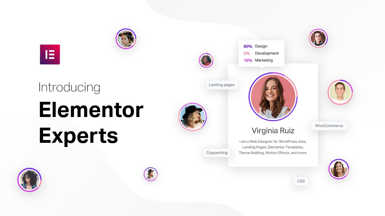 Elementor Expert
